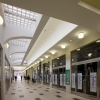 palac-archa5.jpg